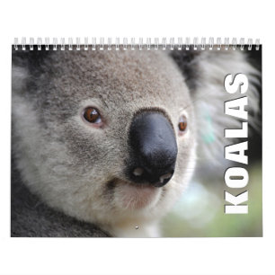 Calendrier mural Koalas 2022