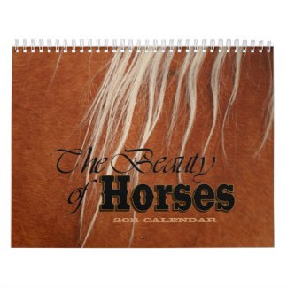 Calendrier Mural La beauté de la secousse des chevaux 2011