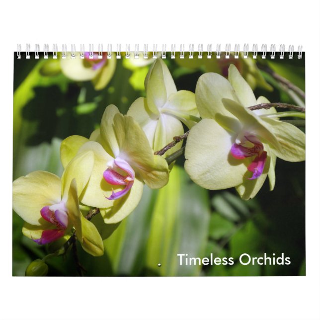 Calendrier Mural La beauté des orchidées (Protection)