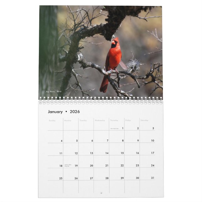 Calendrier Mural La beauté naturelle 2011 du Texas (Jan 2026)