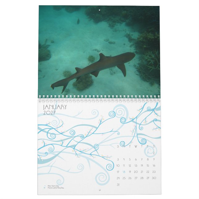 Calendrier Mural La Grande barrière de corail, Australie (Jan 2027)