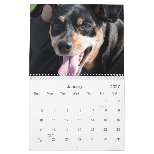 Calendrier Mural La minute borne 2013 (Jan 2027)
