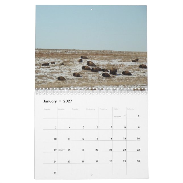 Calendrier Mural Là où le theBuffalo errent (Jan 2027)
