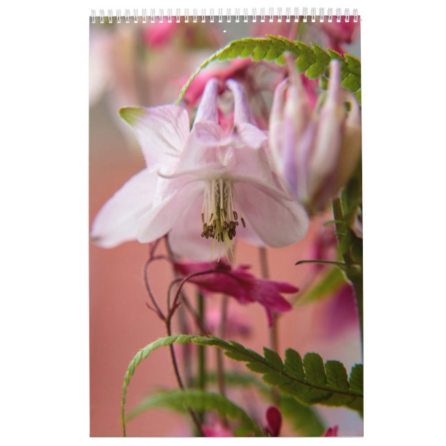 Calendrier Mural La puissance de la fleur (Protection)