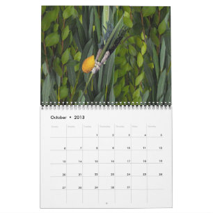 Calendrier Mural La vie juive