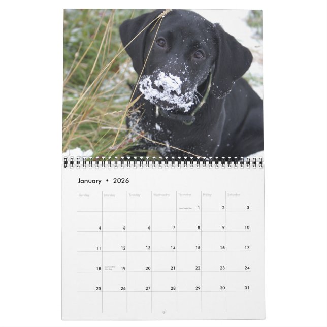 Calendrier Mural Laboratoires de chasse (Jan 2026)