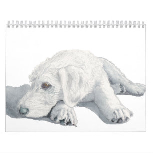 Calendrier Mural Labradoodles