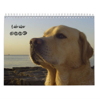 Calendrier Mural Labrador 2009