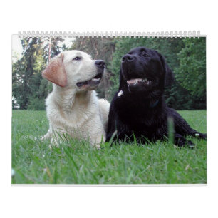 Calendrier Mural Labrador Retriever Calender