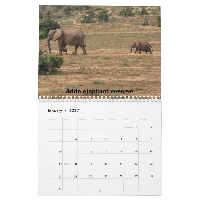 Calendrier Mural L'Afrique du Sud 2011 (Jan 2027)