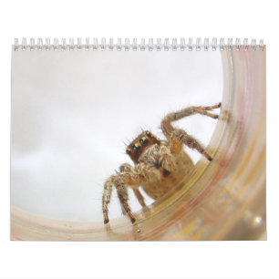 Calendrier Mural L'amour des insectes