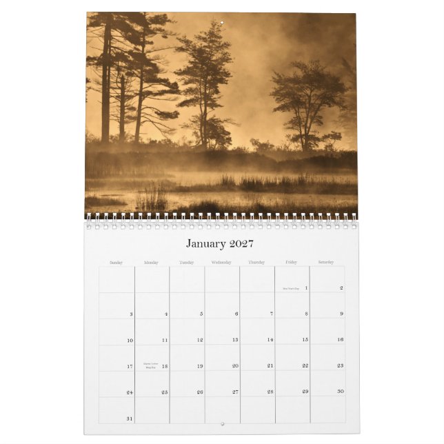 Calendrier Mural L'art de la nature (Jan 2027)