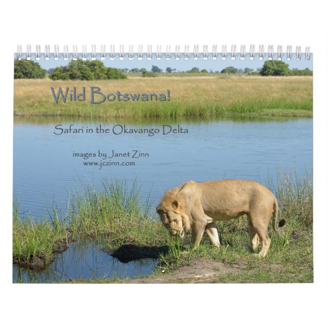 Calendrier Mural Le Botswana sauvage ! Safari dans le delta (Protection)