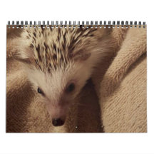 Le Dakota, truc et amis !