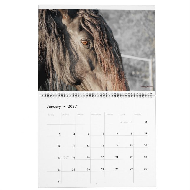 Calendrier Mural Le frison fait varier le pas de 2015 (Jan 2027)