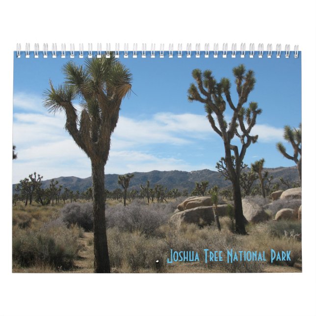 Calendrier Mural Le Parc national de Joshua Tree (Protection)