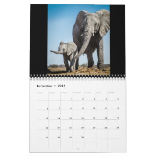 Calendrier Mural Le plus petit Giants