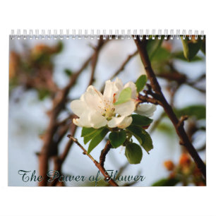 Calendrier Mural Le pouvoir de la fleur