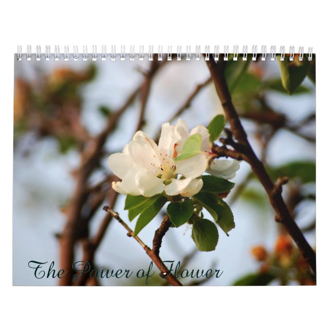 Calendrier Mural Le pouvoir de la fleur (Protection)