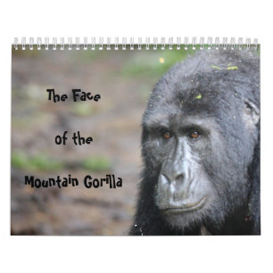 Calendrier Mural Le visage du gorille de montagne aucunes vacances