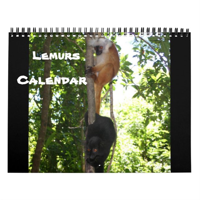 CALENDRIER MURAL LEAPING LEMURS (Protection)