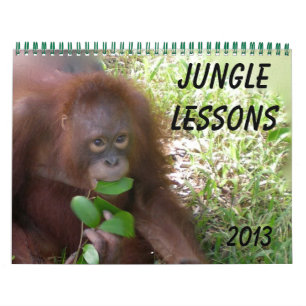 Calendrier Mural Leçons de la jungle Faune Orangutans