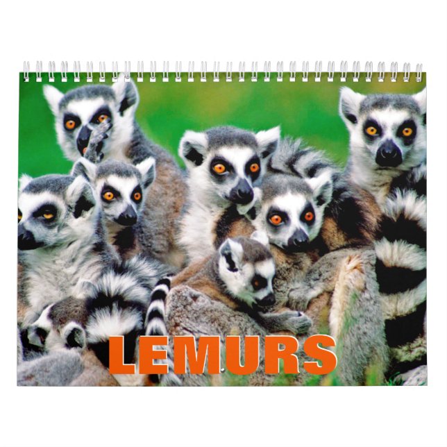 Calendrier mural Lemurs (Protection)