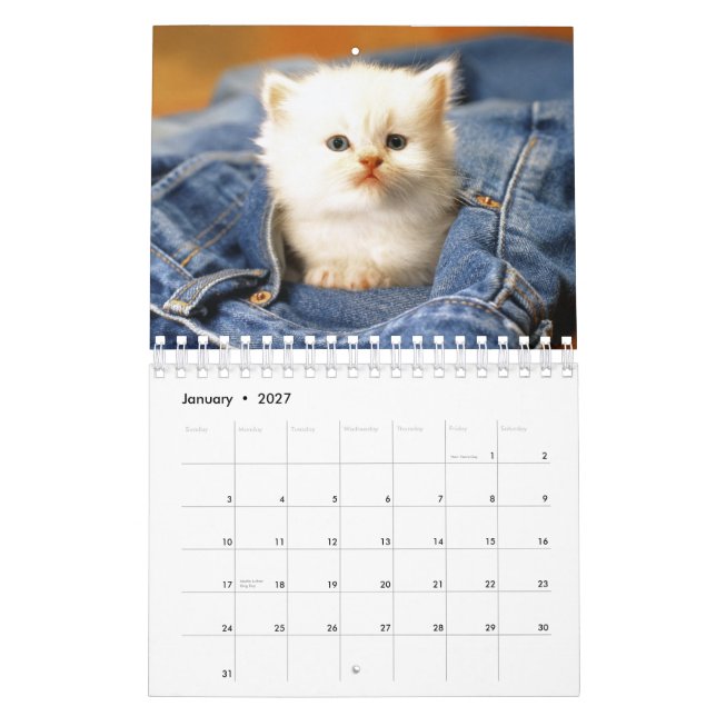 Calendrier Mural Les chats classent 2012 (Jan 2027)