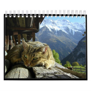 Calendrier Mural Les chats classent 2012