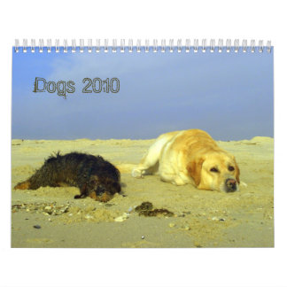 Calendrier Mural Les chiens classent pour 2010