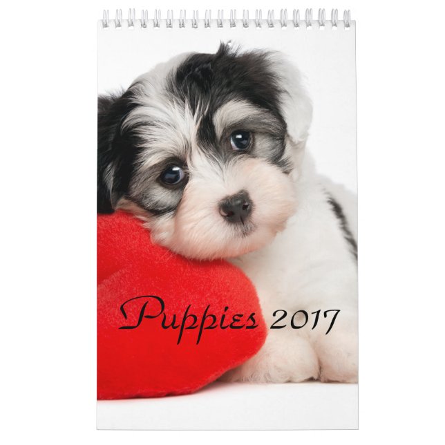 Calendrier Mural Les chiots classent 2017 (Protection)