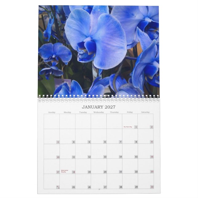 Calendrier Mural Les fleurs classent pour 2013 (Jan 2027)