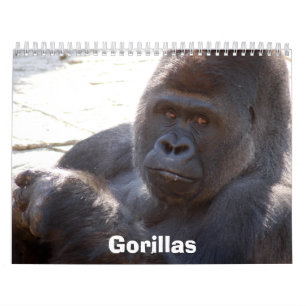 Calendrier Mural Les gorilles classent, des gorilles