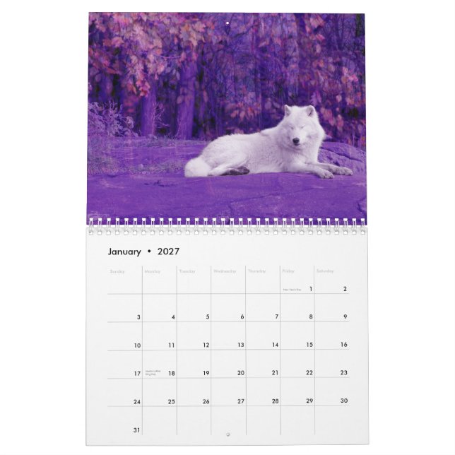 Calendrier Mural Les Loups du Canada (Calendrier) (Jan 2027)