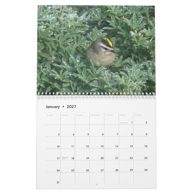 Calendrier Mural Les oiseaux classent 2012 (Jan 2027)