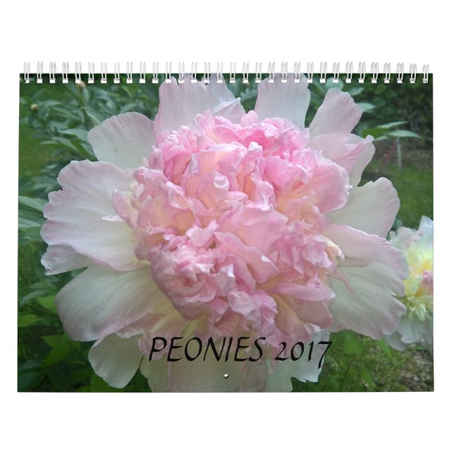 Calendrier Mural Les pivoines classent 2017 (Protection)
