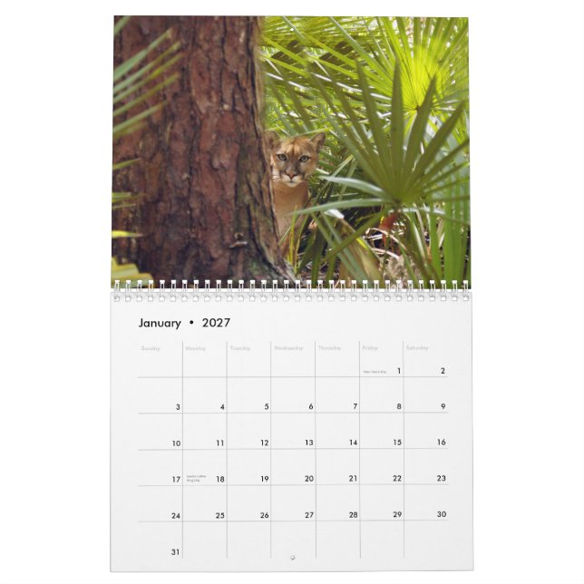 Calendrier Mural Les pumas classent, des pumas/pumas (Jan 2027)