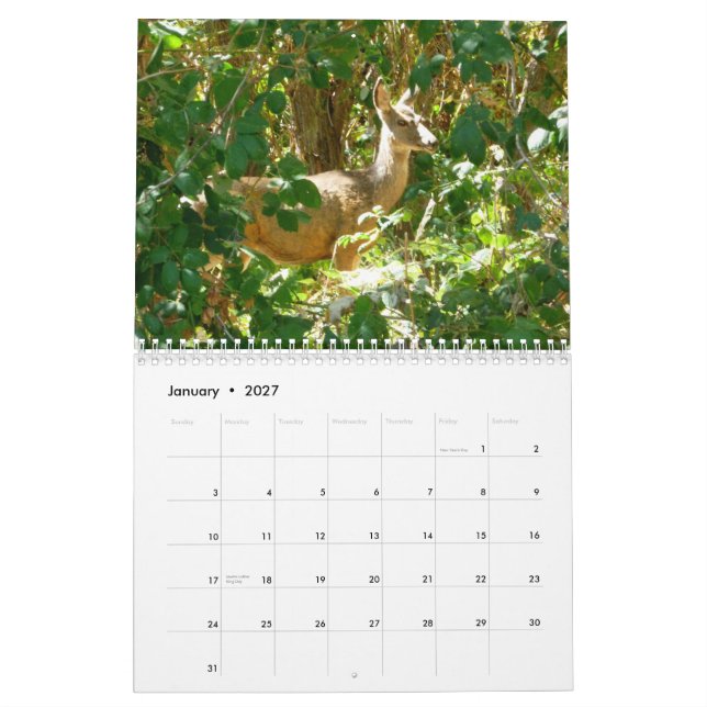 Calendrier Mural L'Idaho (Jan 2027)