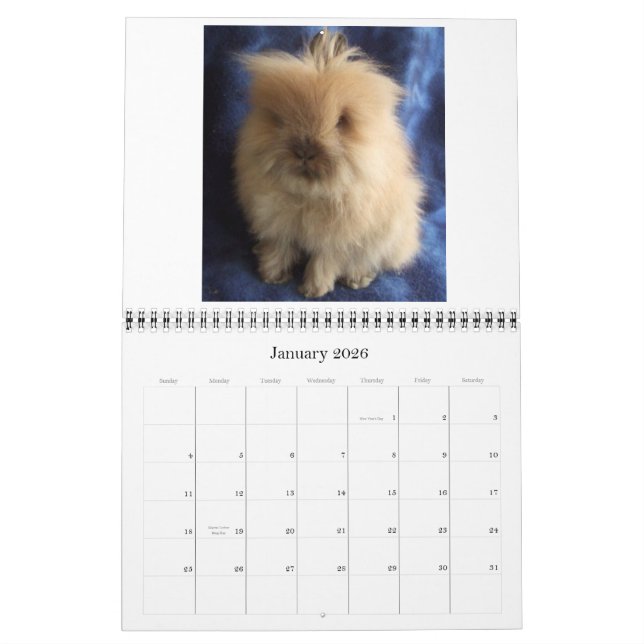 Calendrier Mural Lionhead Rabbits 2009-2010 (Jan 2026)