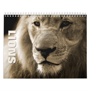 Calendrier mural Lions 2022