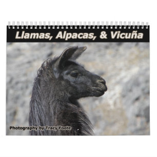 Calendrier Mural Llamas sauvages et Alpacas