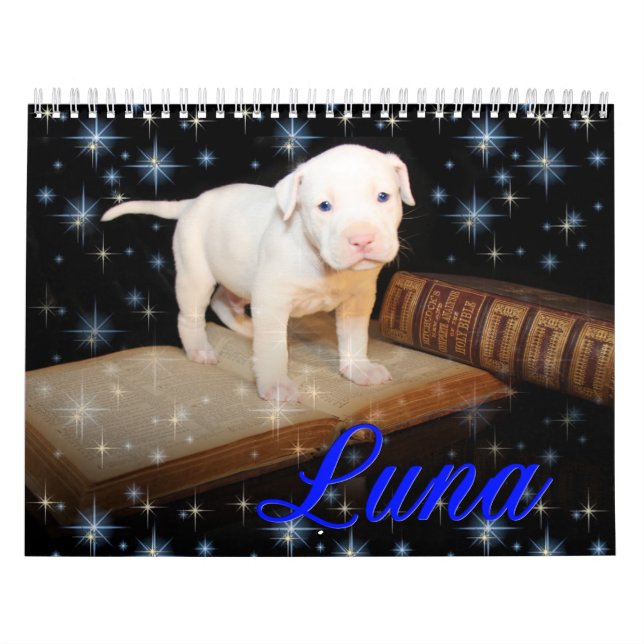 Calendrier Mural Luna le chiot abandonné sauvé (Protection)