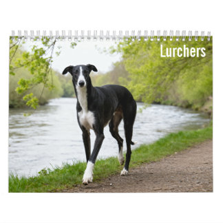 Calendrier mural Lurchers 2027
