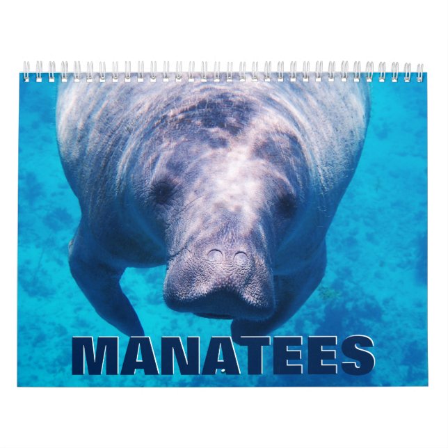 Calendrier mural Manatees (Protection)