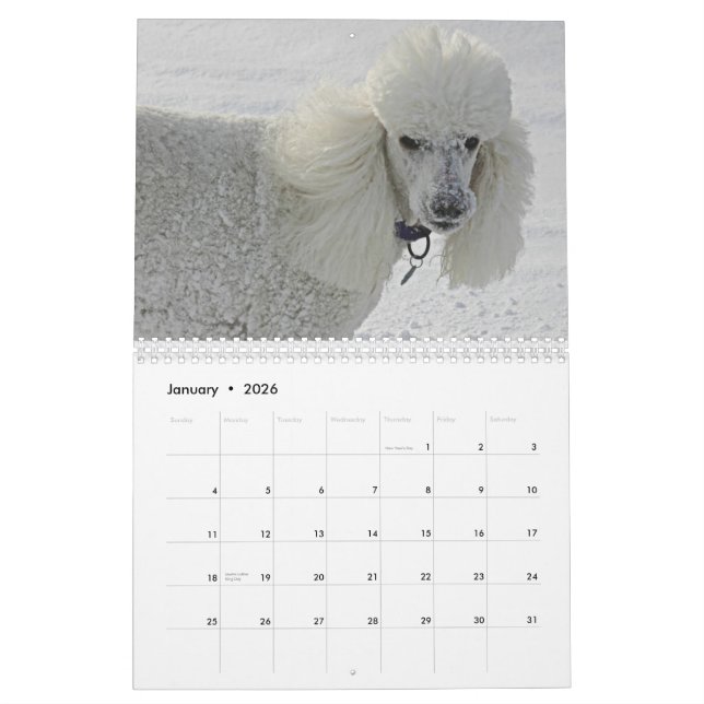 Calendrier Mural Même les chiens prennent du temps de sentir les (Jan 2026)