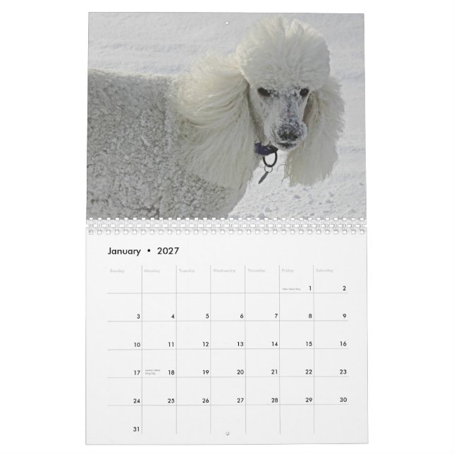 Calendrier Mural Même les chiens prennent du temps de sentir les (Jan 2027)