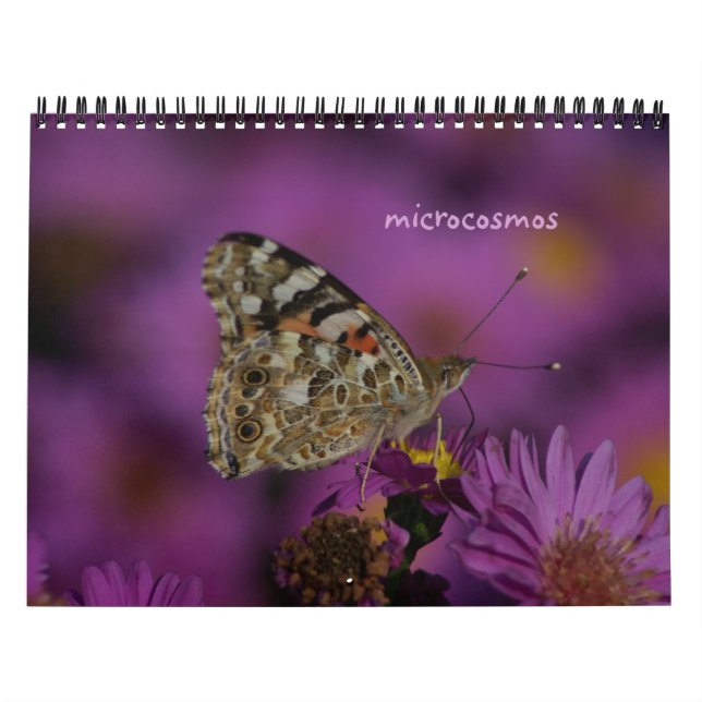Calendrier Mural microcosme (Protection)