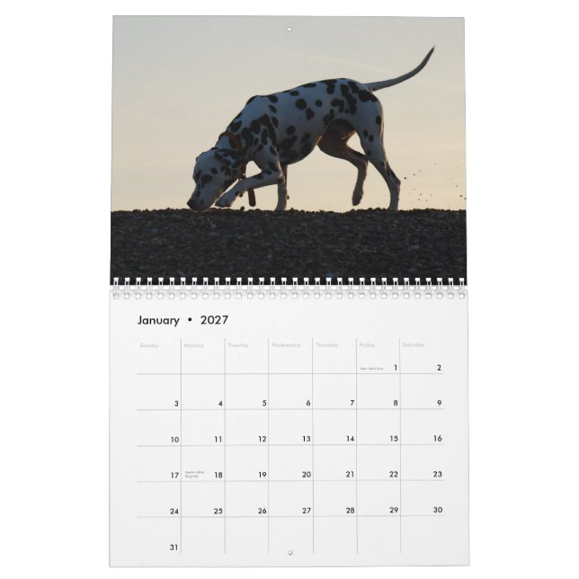 Calendrier Mural molo 2010 (Jan 2027)