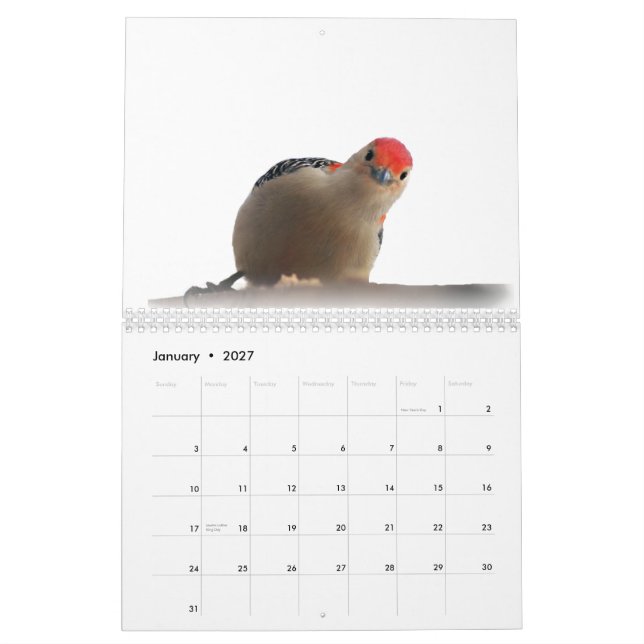 Calendrier Mural Monde merveilleux des piverts 2015 (Jan 2027)