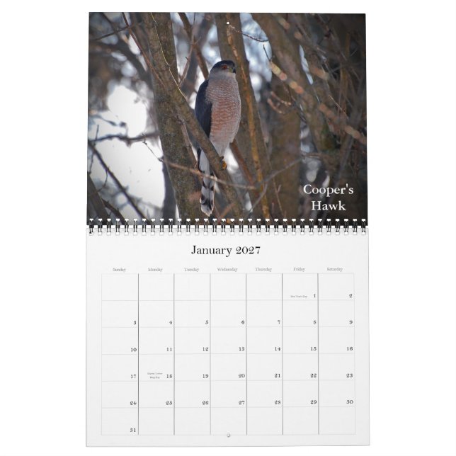 Calendrier Mural Montée à de nouvelles tailles (Jan 2027)